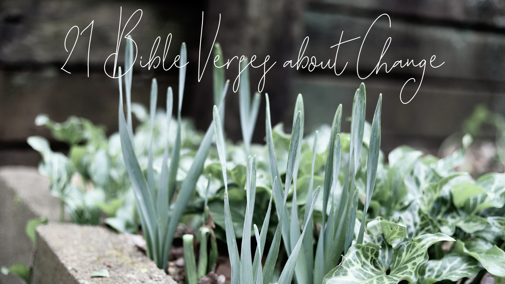 bible verses about change