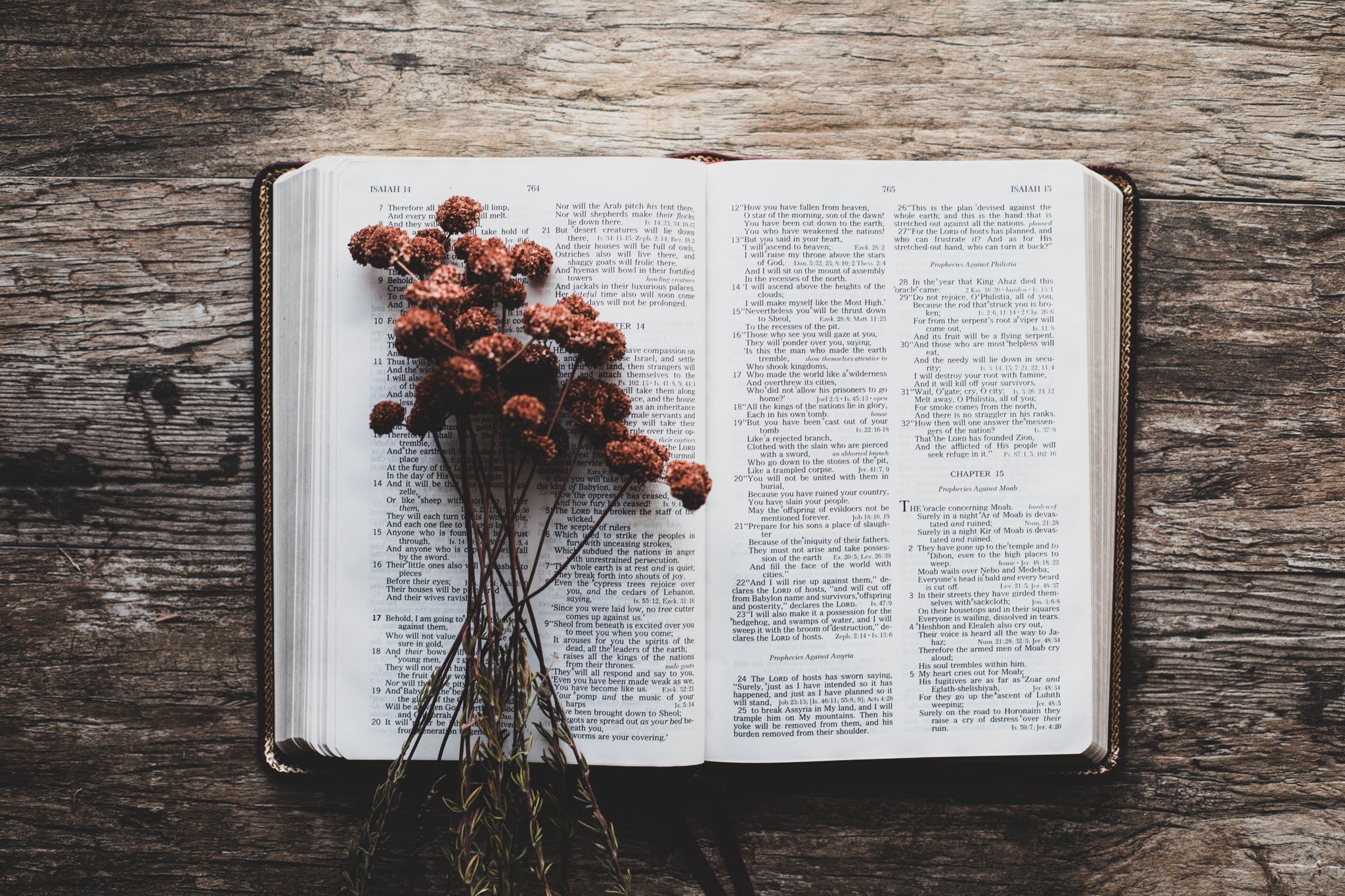 10 Best Bible Study Apps