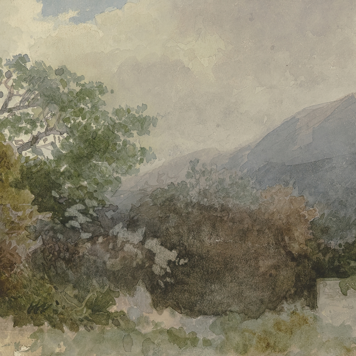 Looking Back, Trusting Forward