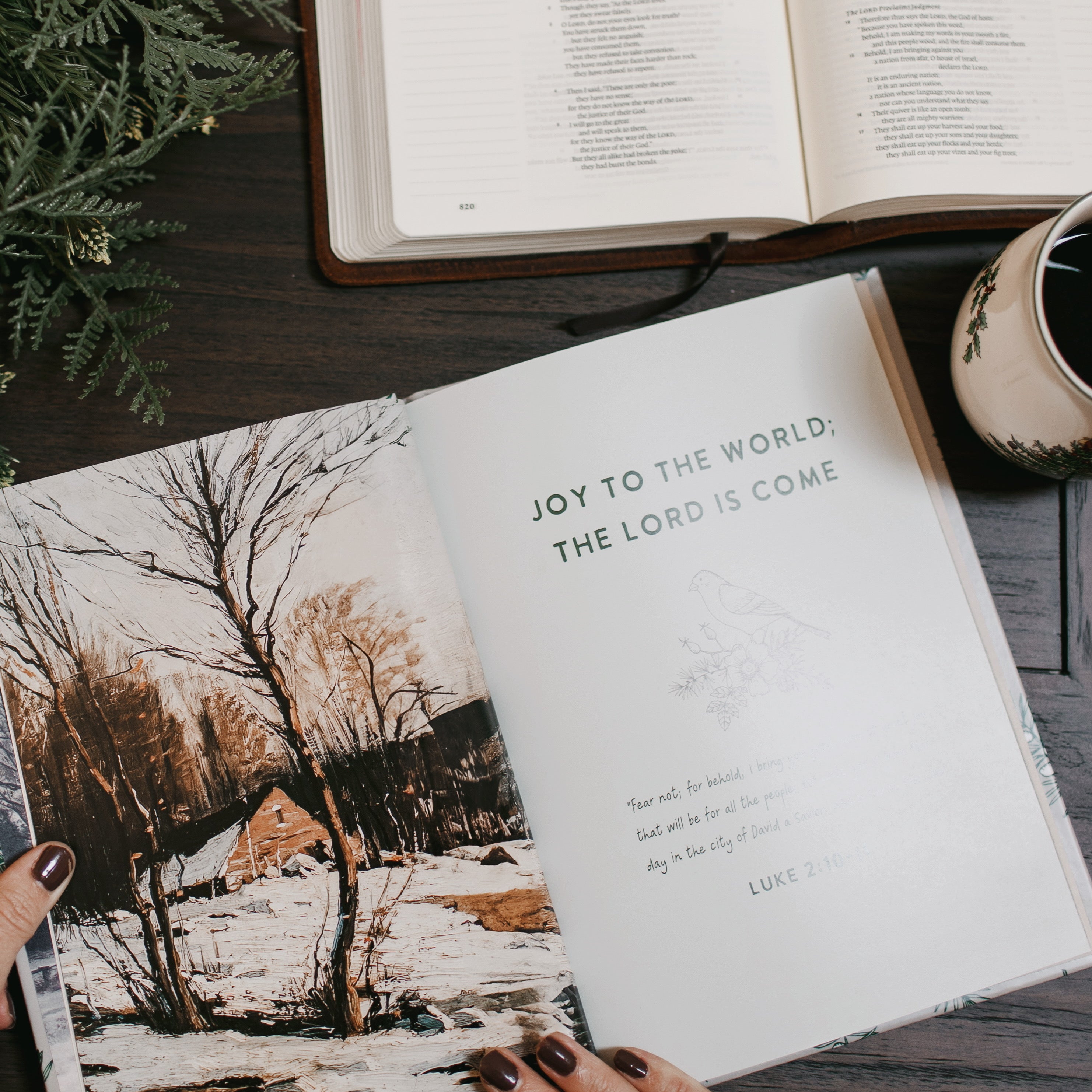 Joy To The World | A Christmas Devotion