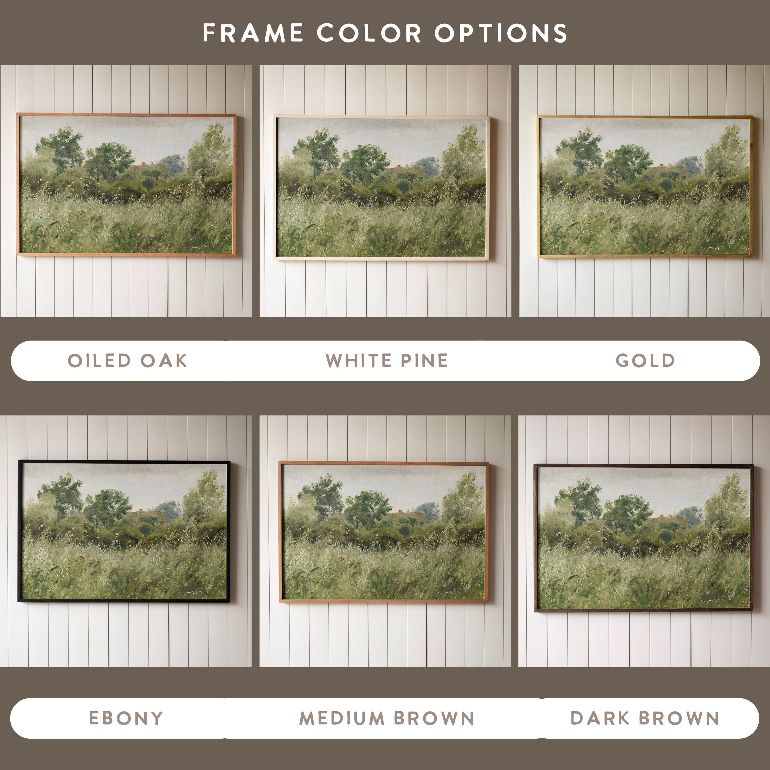 "Field of Oats" Framed Canvas | Horizontal | 563