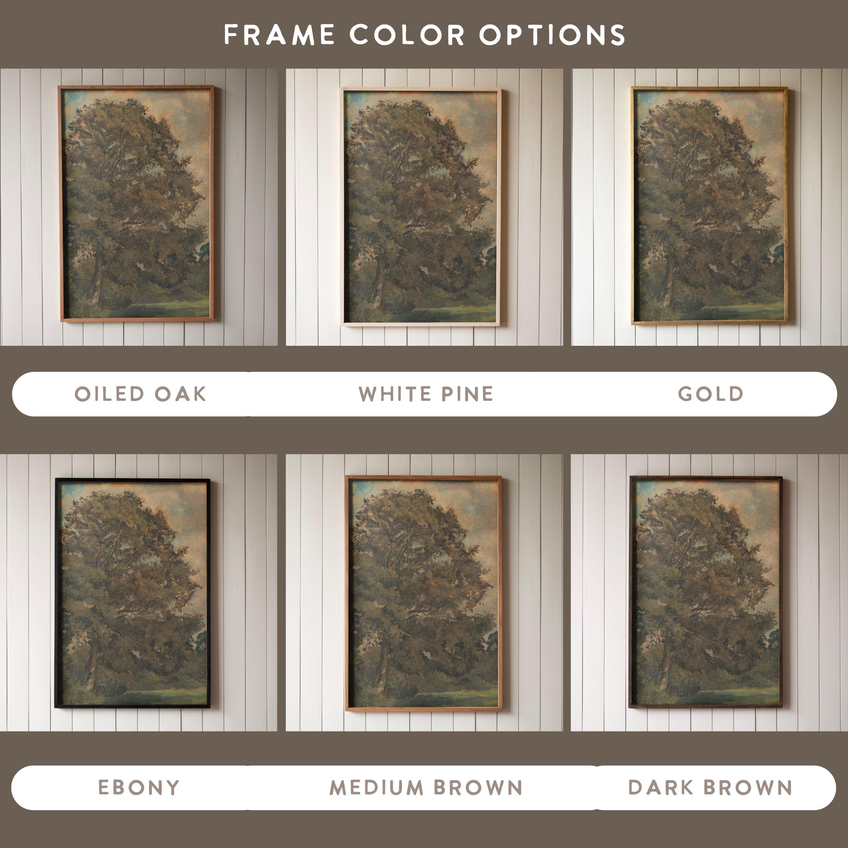 "Study Of An Ash Tree" Framed Canvas | Vertical | 605