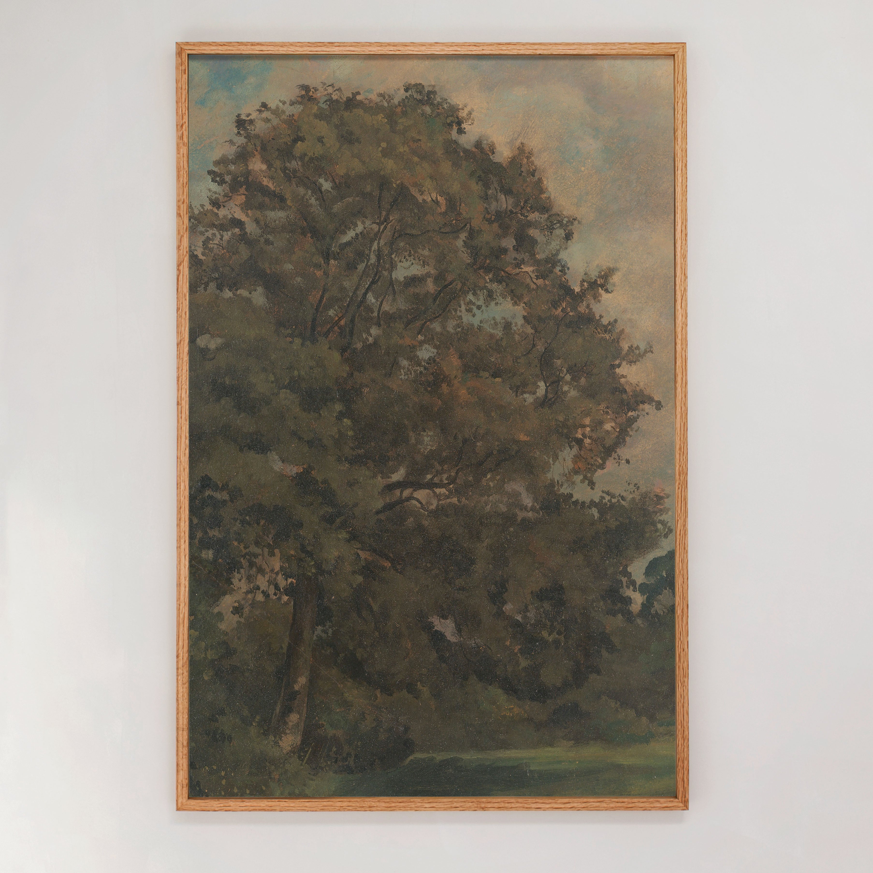 "Study Of An Ash Tree" Framed Canvas | Vertical | 605