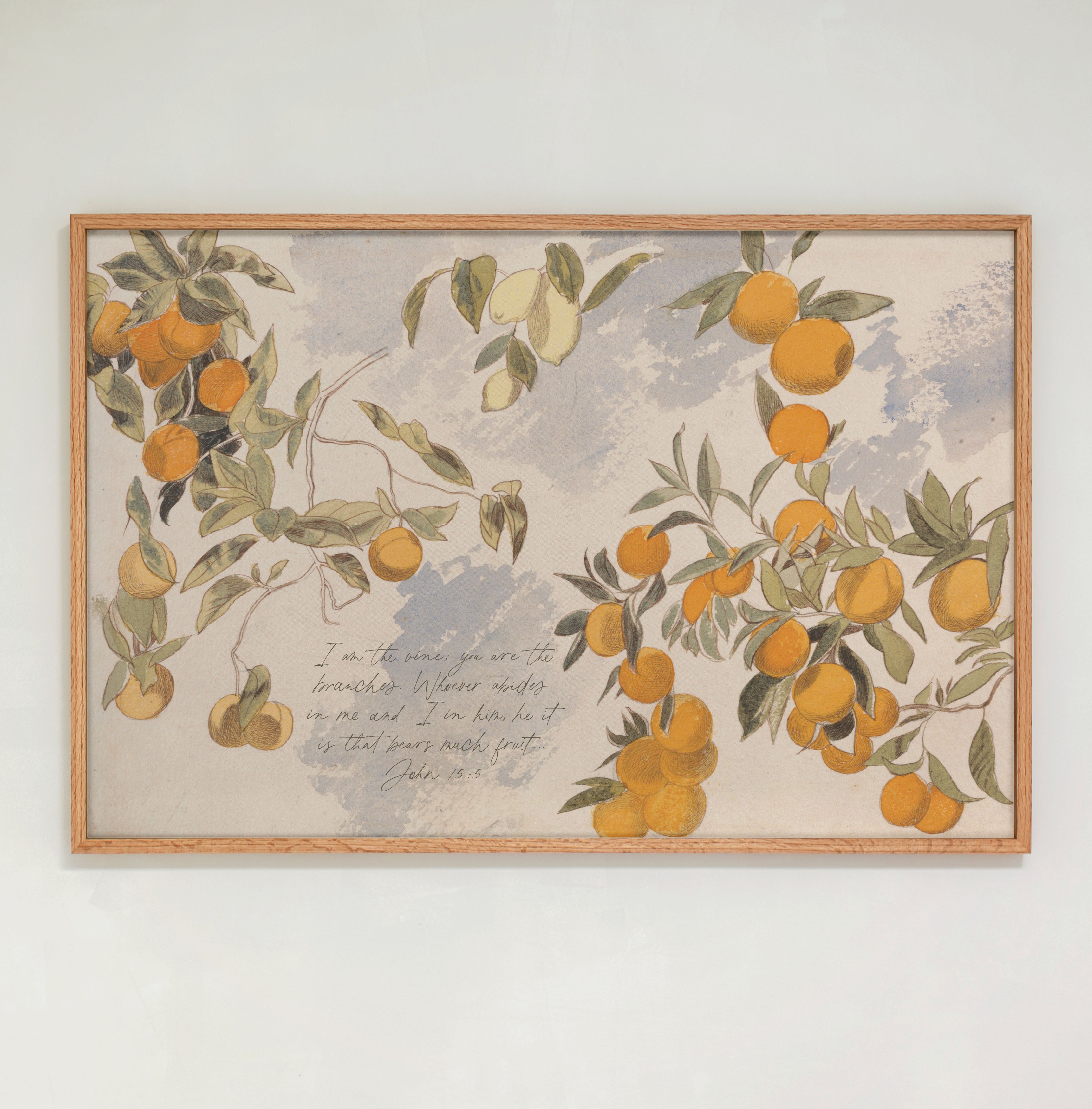 "I Am The Vine, You Are The Branches" Framed Canvas | Horizontal | 696