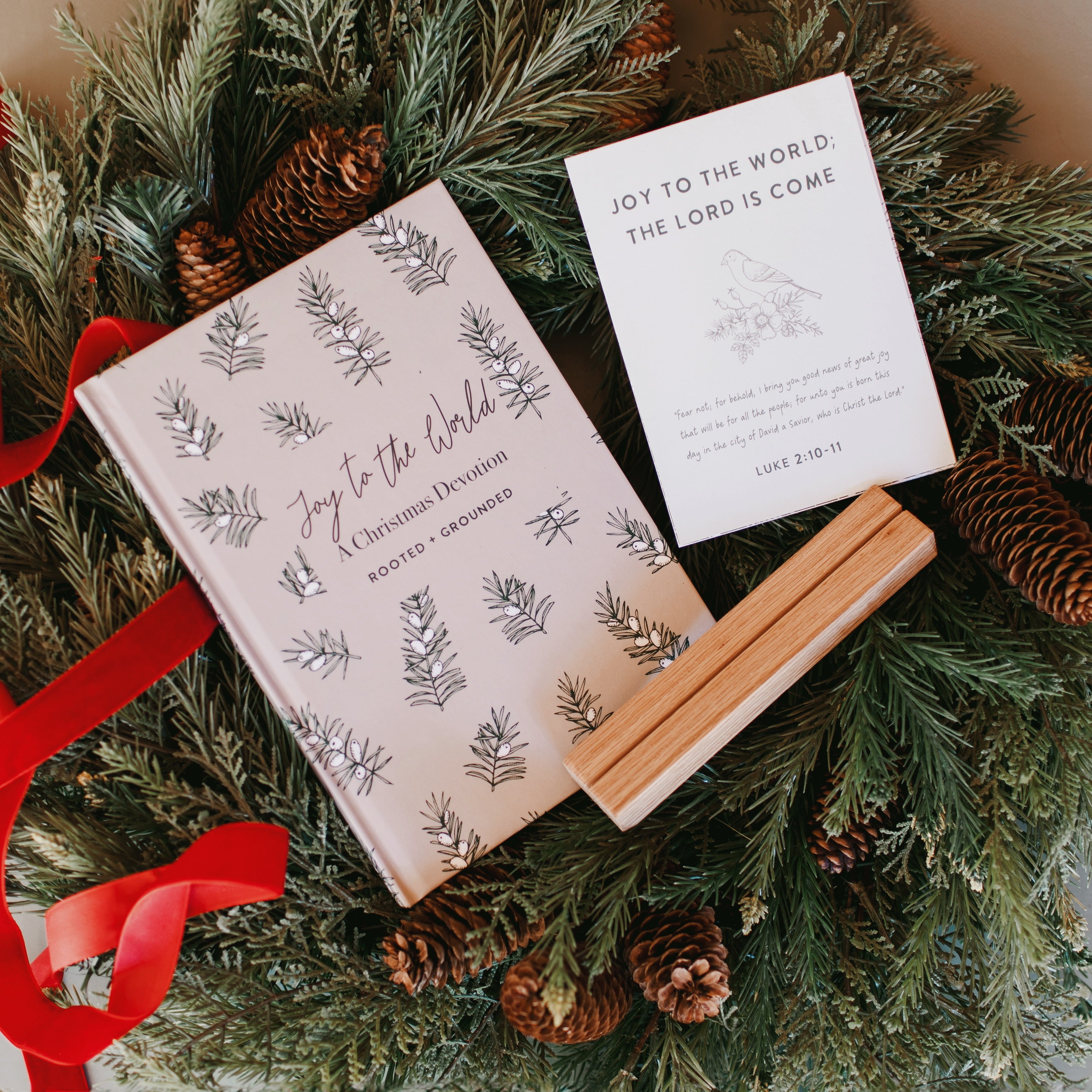 Joy To The World | A Christmas Devotion