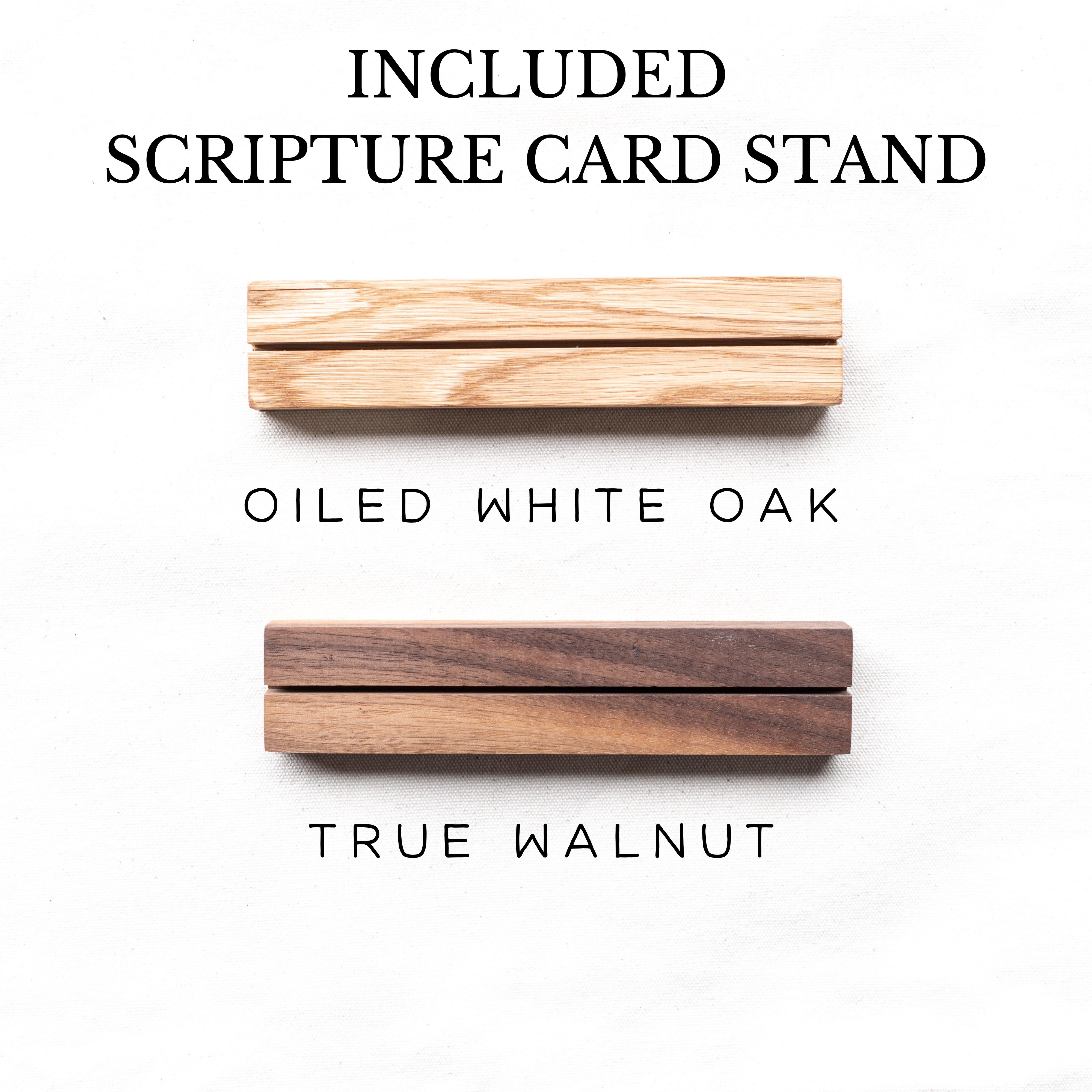 Rooted In The Word Scripture Cards | SOLD OUT