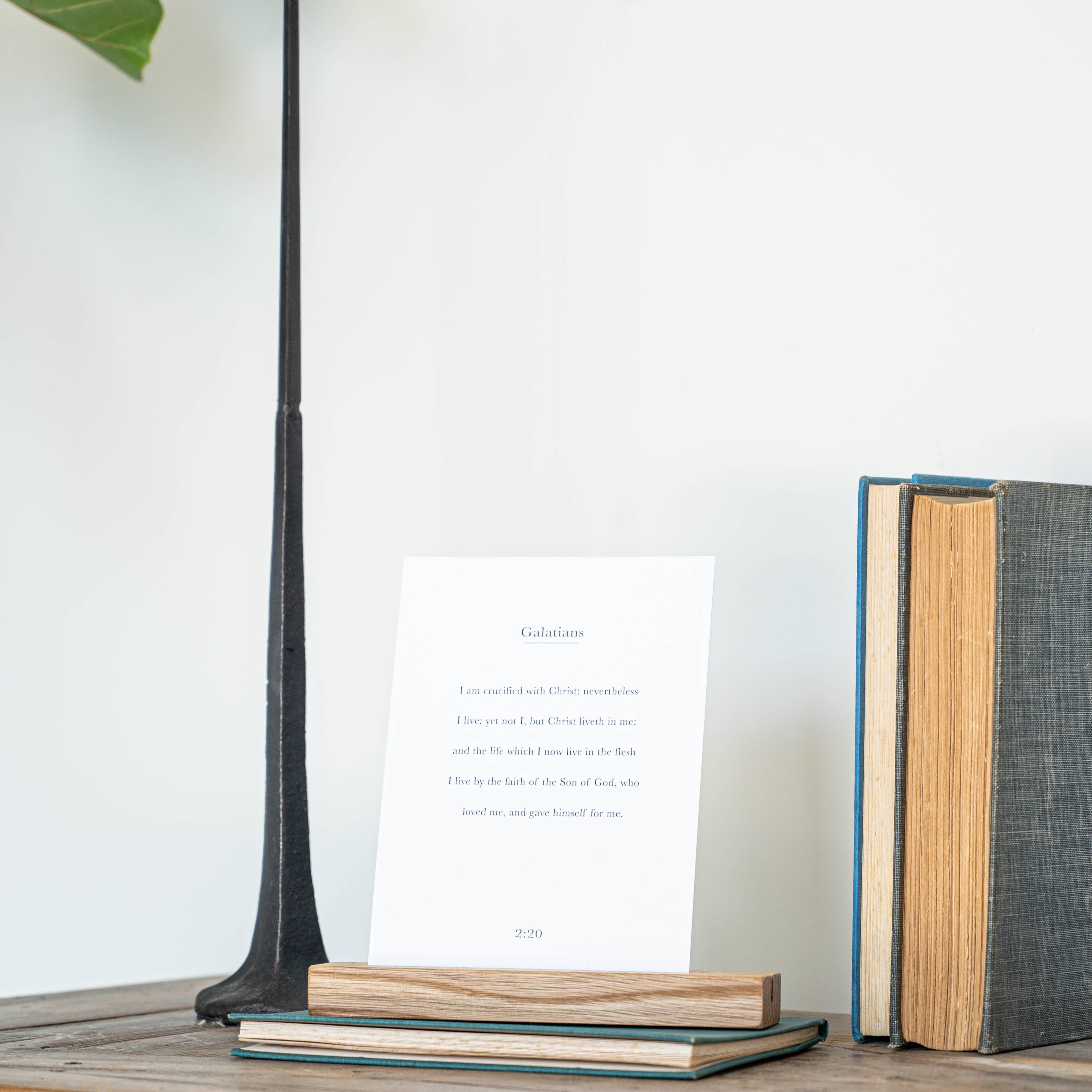 Rooted In The Word Scripture Cards | SOLD OUT