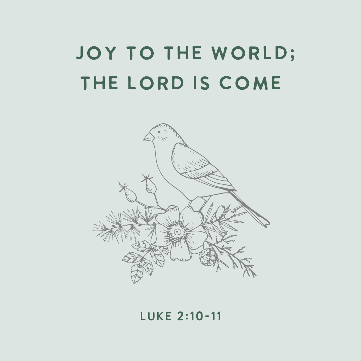 Joy To The World - A Christmas Devotion Day 1