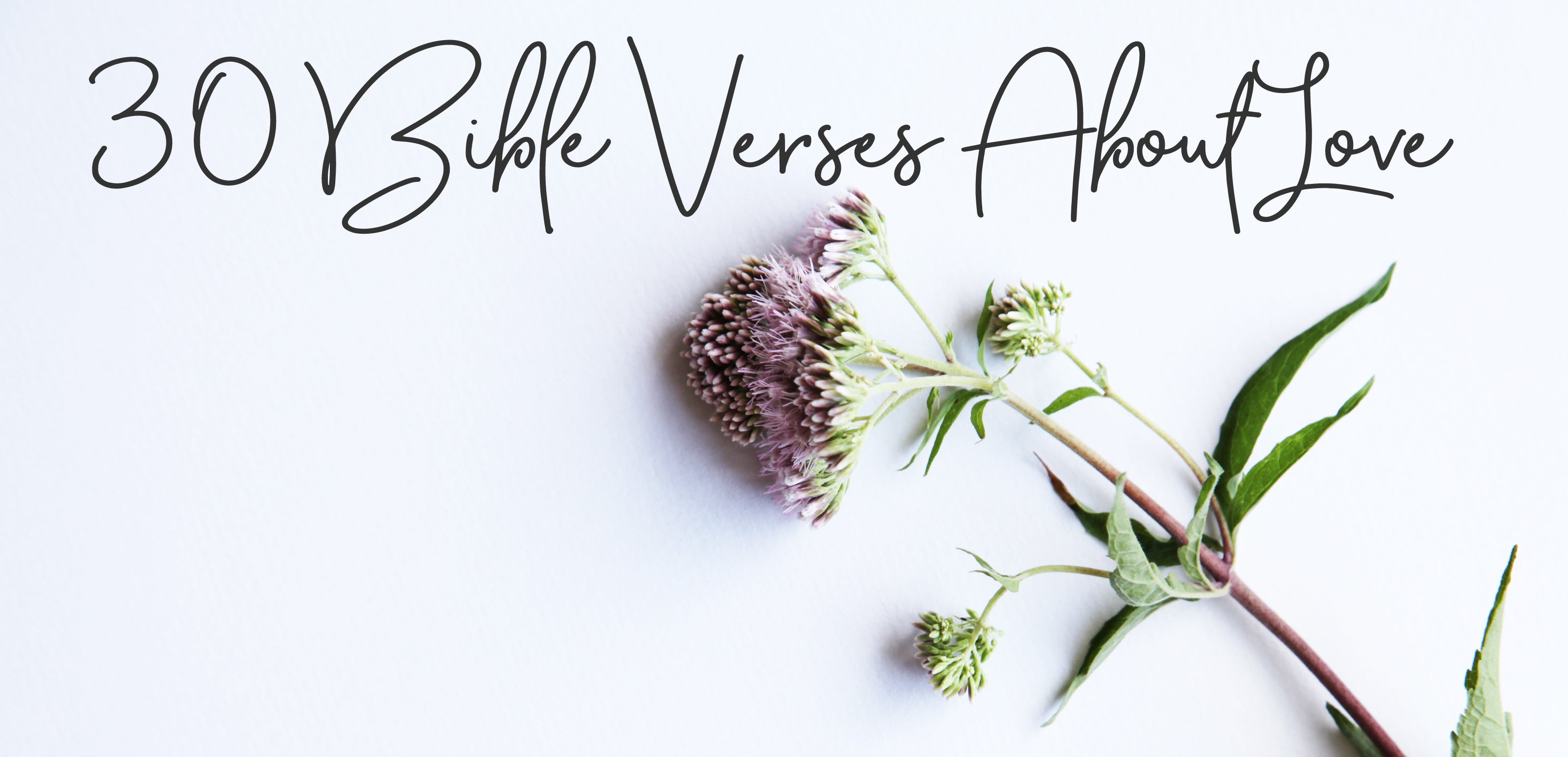 Bible verses about love