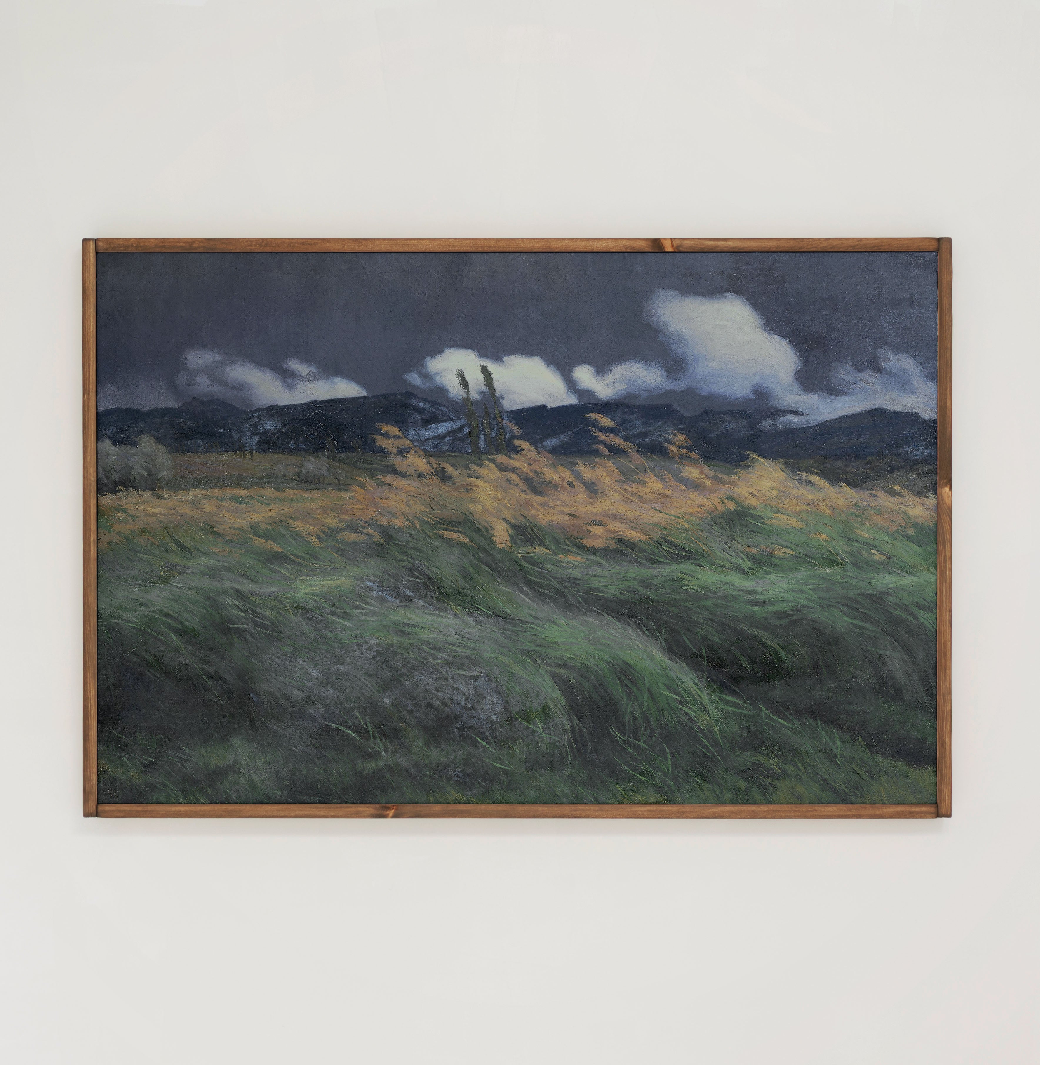 Blowing In The Wind | Framed Wooden Art - Horizontal | 142