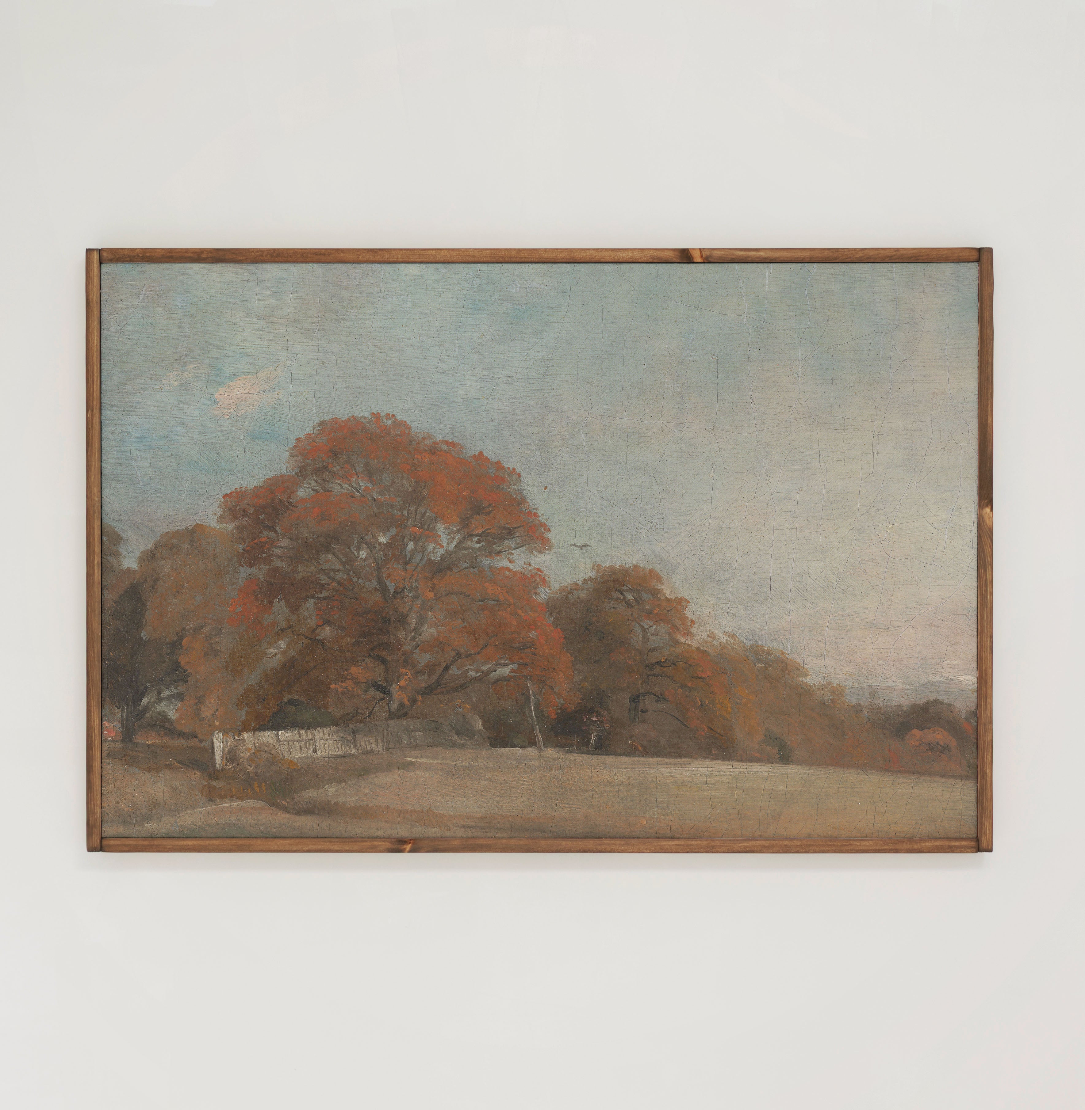 New England Fall | Framed Wooden Art - Horizontal | 189