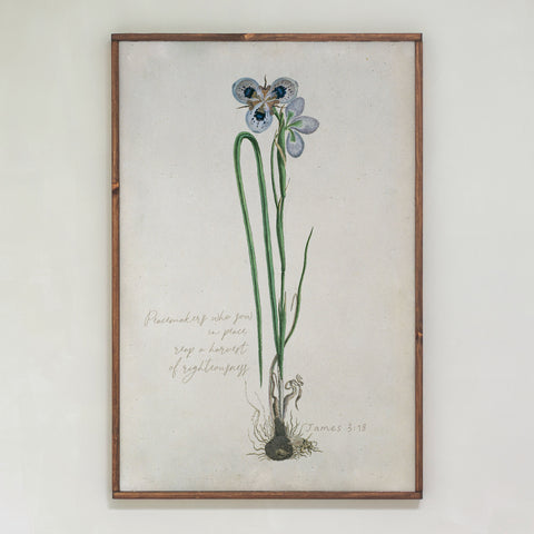 Peacemakers Botanical | Framed Wood Art | 405