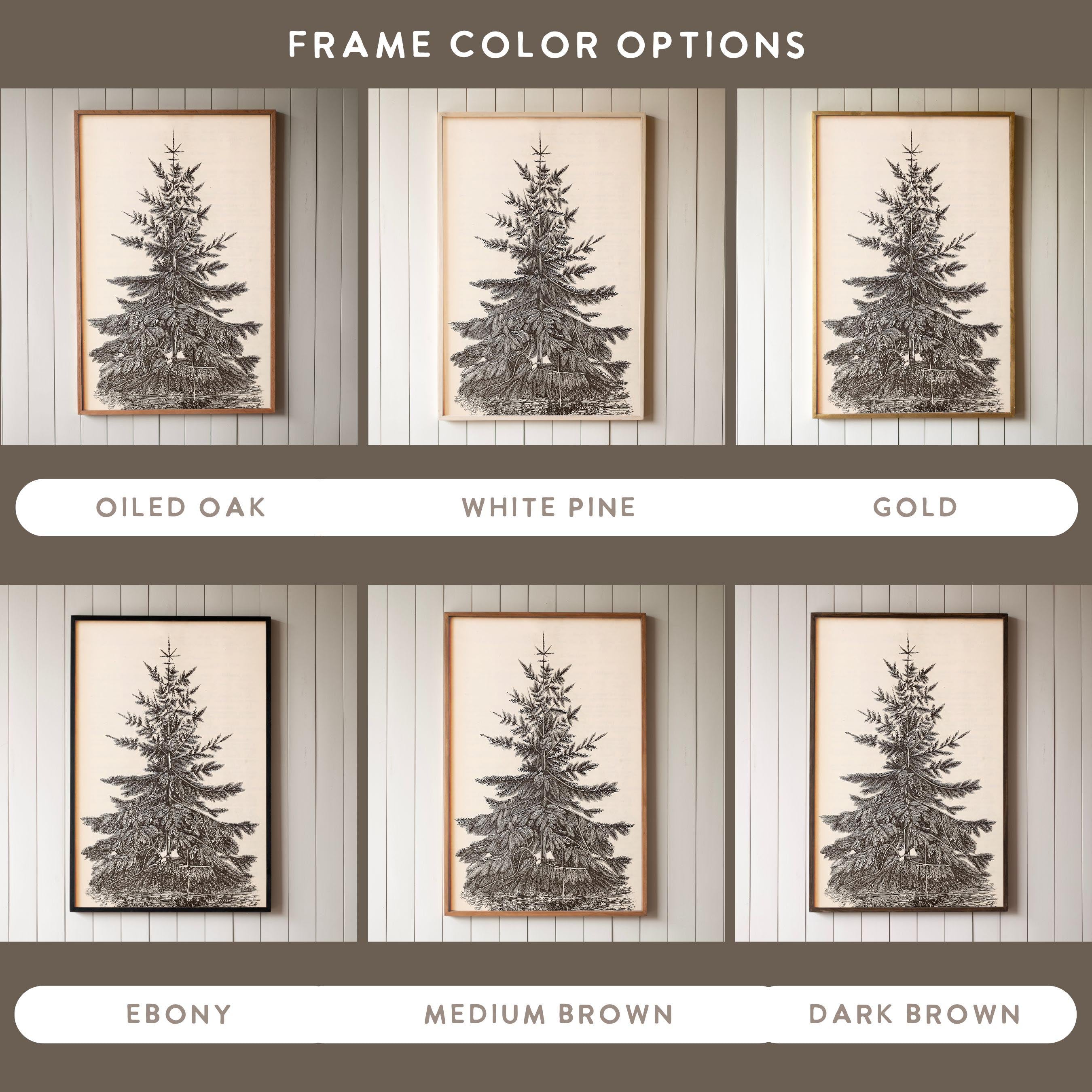"Christmas Fir" Framed Canvas | Vertical | 624