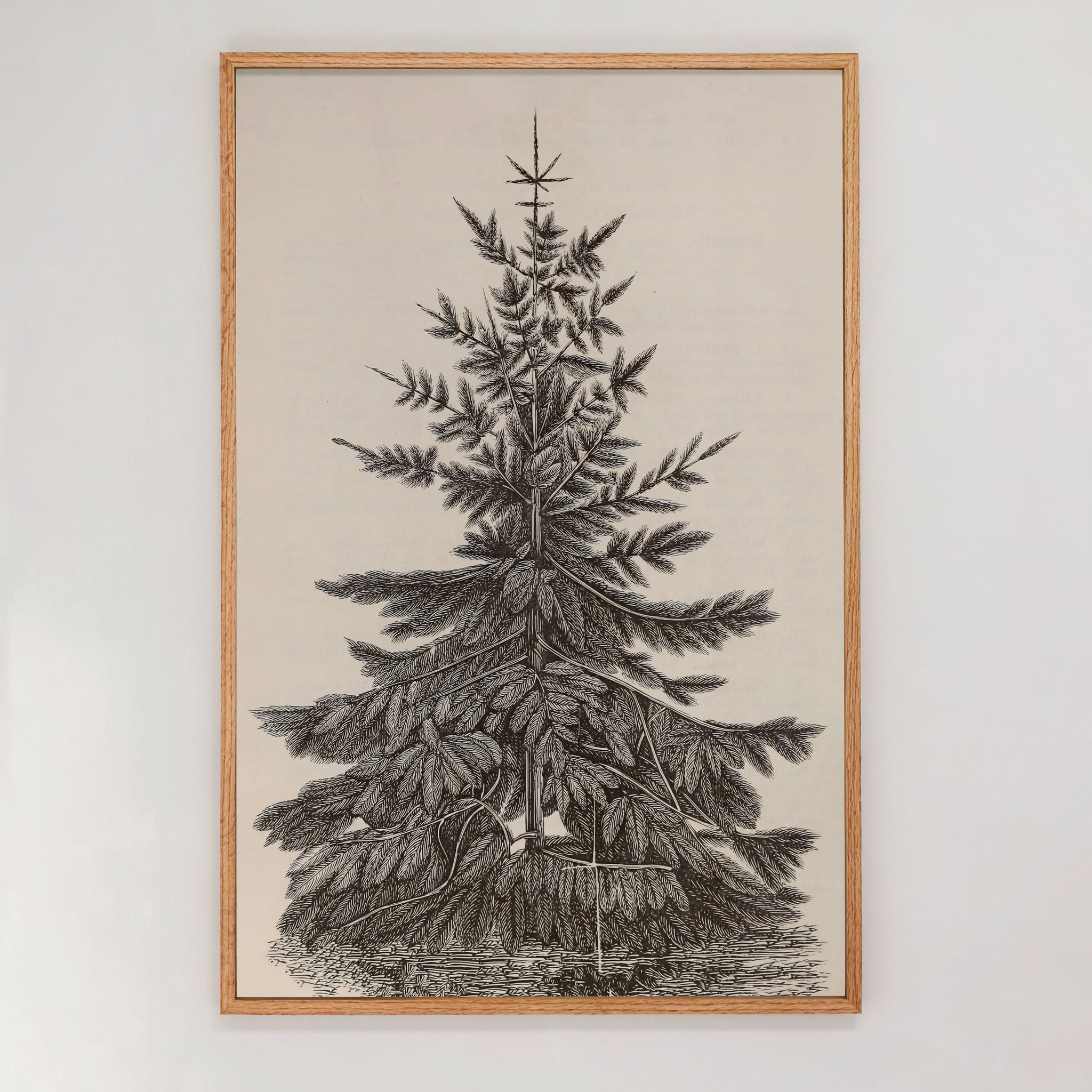 "Christmas Fir" Large Framed Art | Vertical | F624