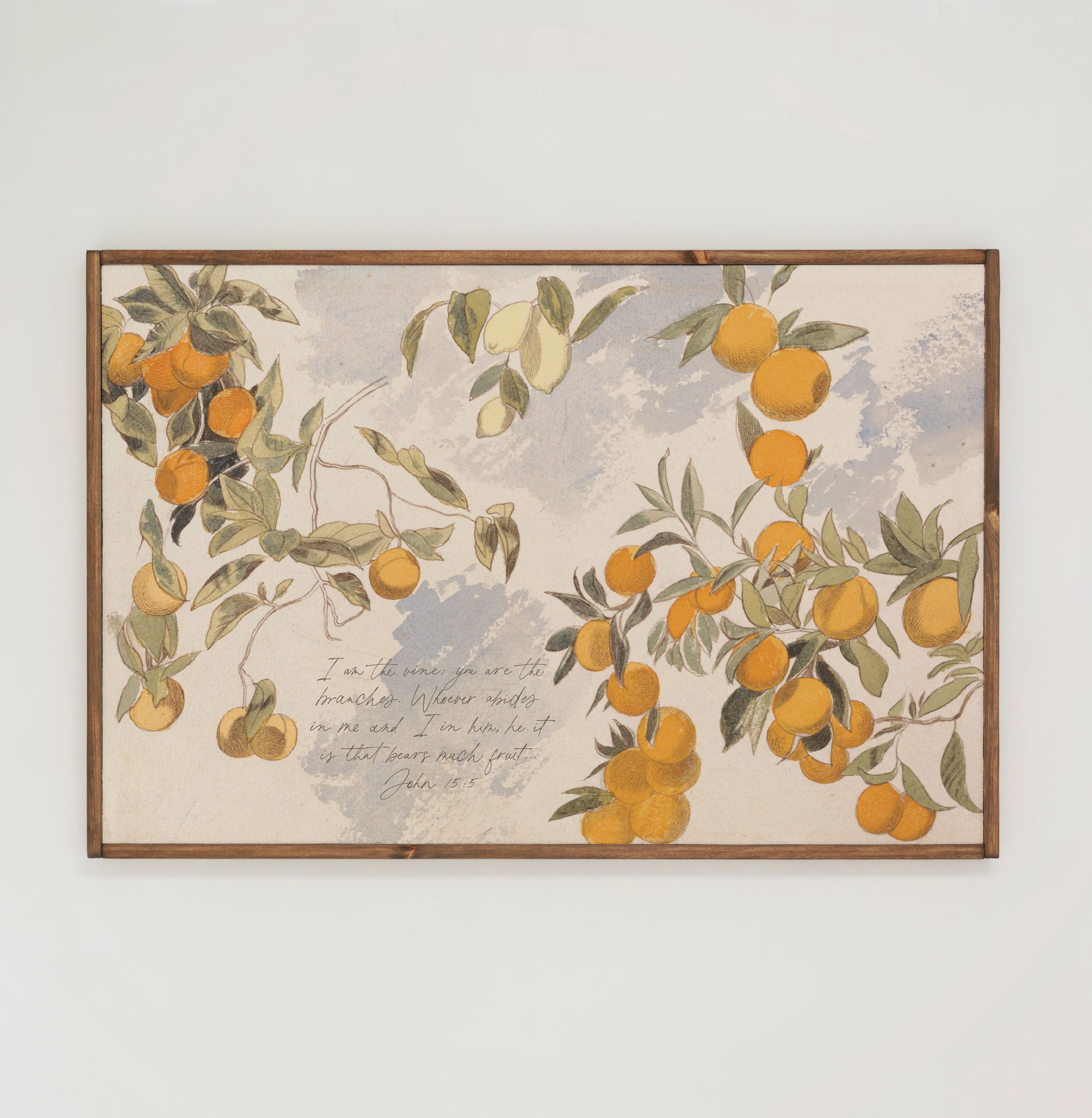 I Am The Vine, You Are The Branches | Framed Wooden Art - Horizontal | 696