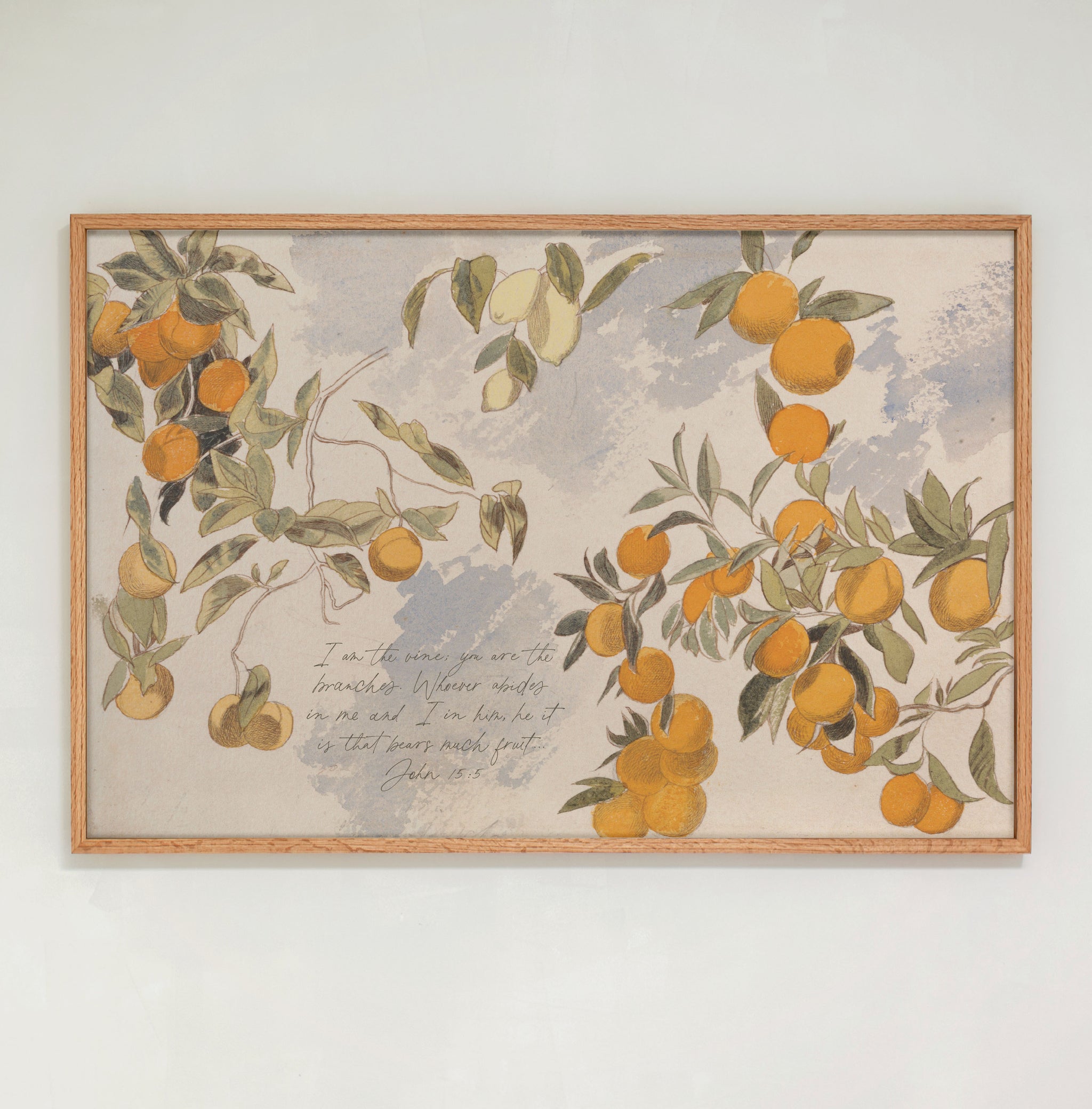 "I Am The Vine, You Are The Branches" Framed Canvas | Horizontal | 696