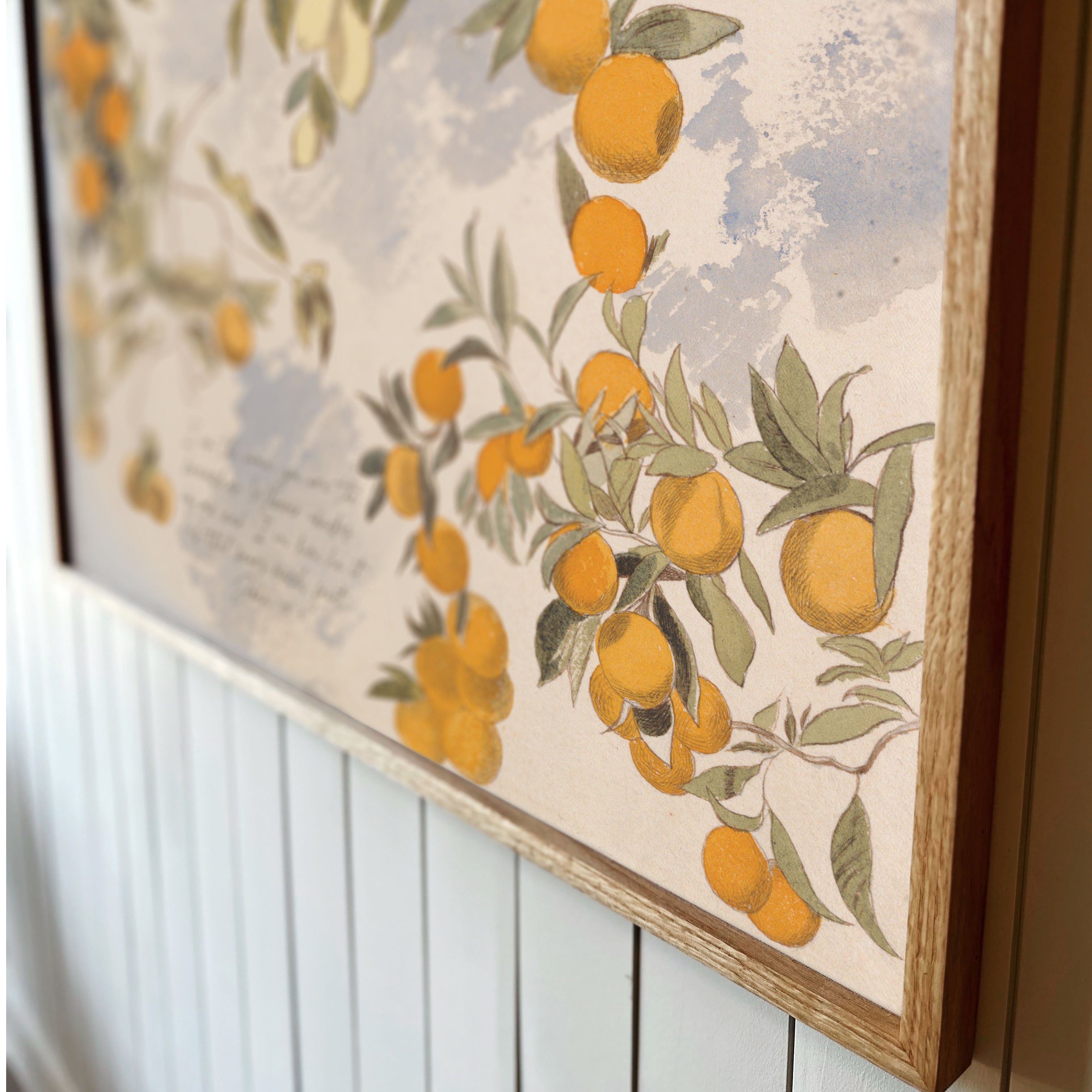 "I Am The Vine, You Are The Branches" Framed Canvas | Horizontal | 696