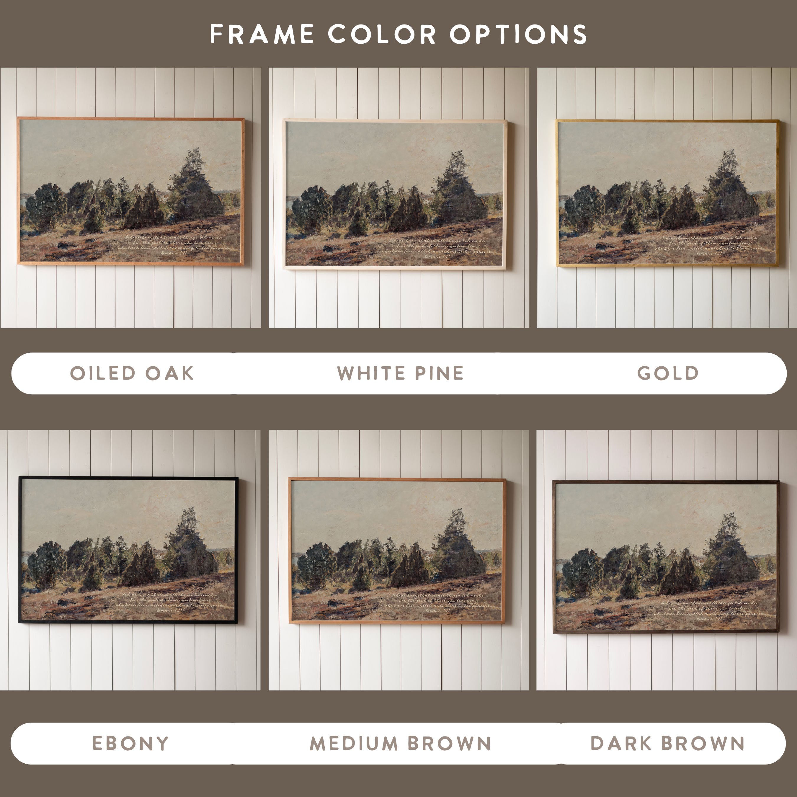 "Romans 2:28" Framed Canvas | Horizontal | 720