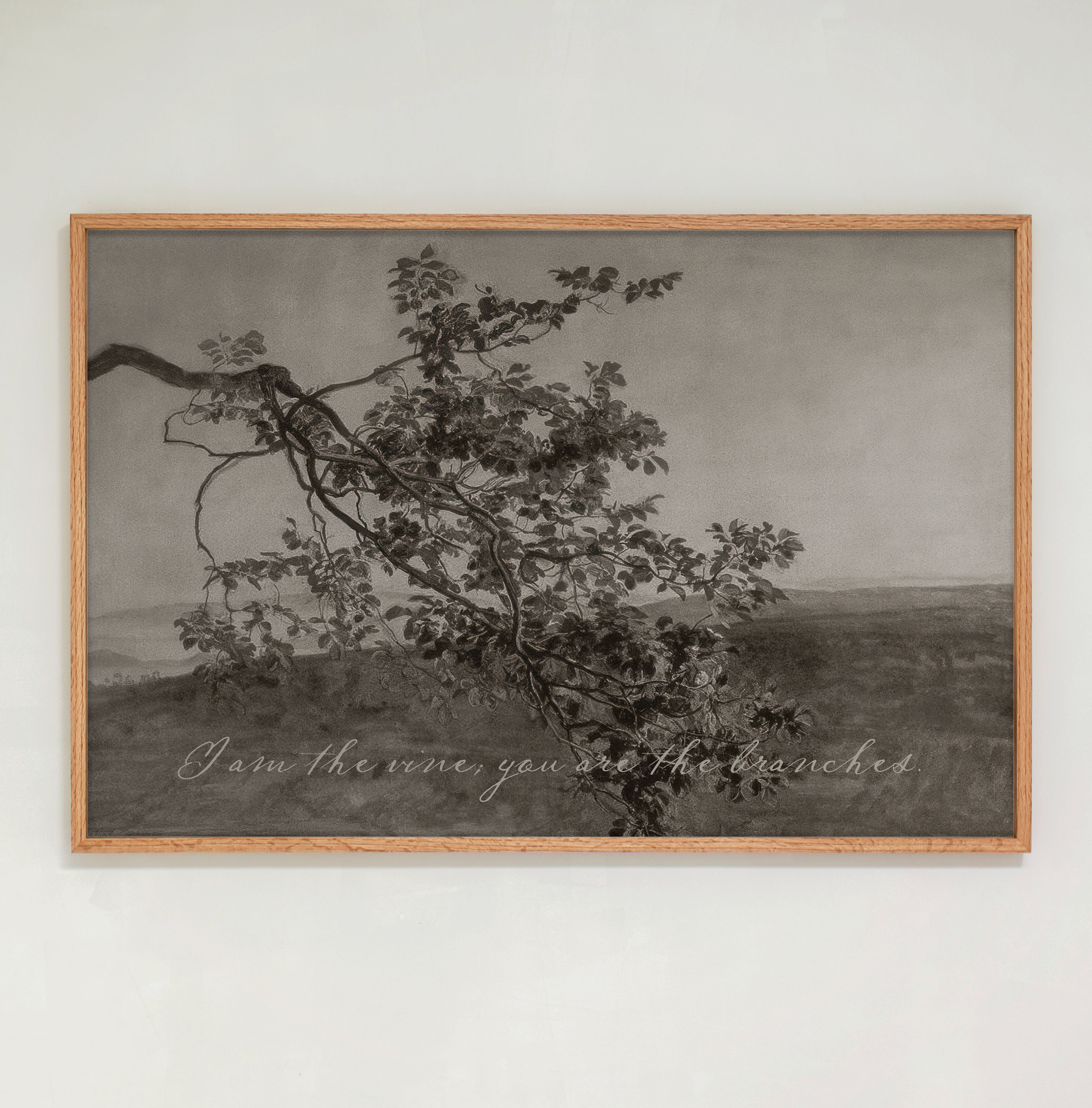 "I Am The Vine, You Are The Branches" Framed Canvas | Horizontal | 816