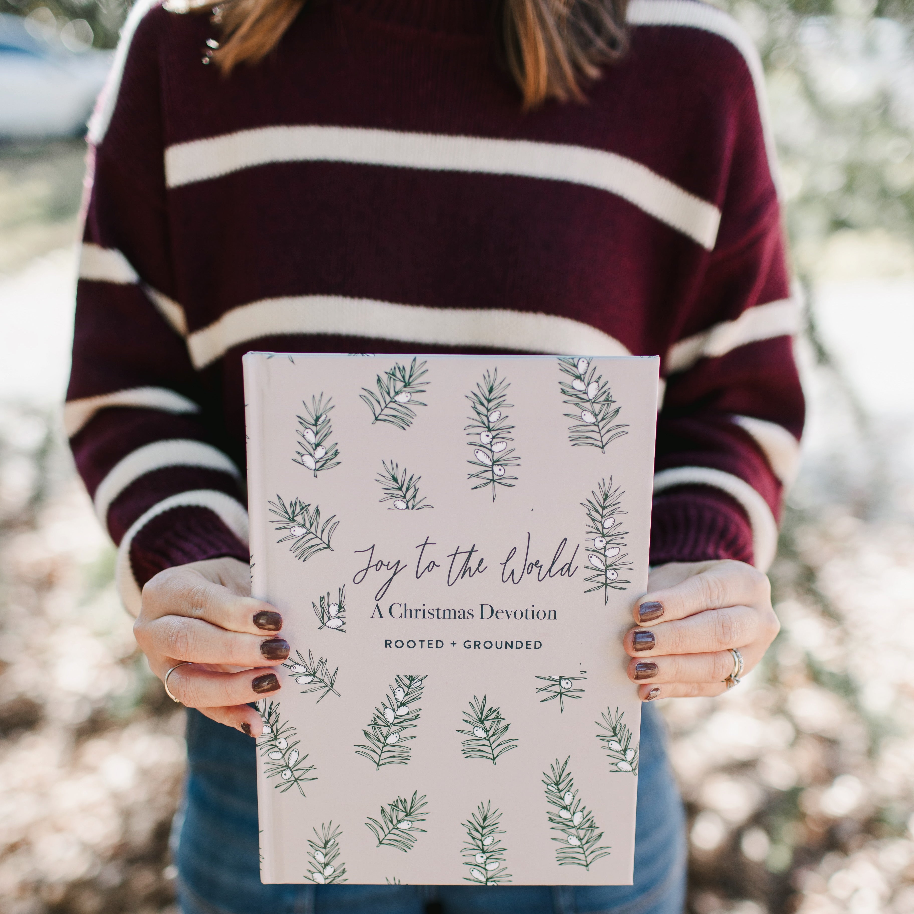 Joy To The World | A Christmas Devotion